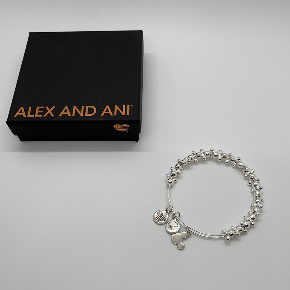 Disney new Minnie Mouse silver bangle